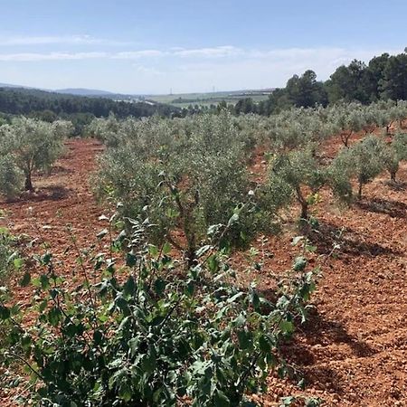 Vila El-Cortijo Siete Aguas Exteriér fotografie